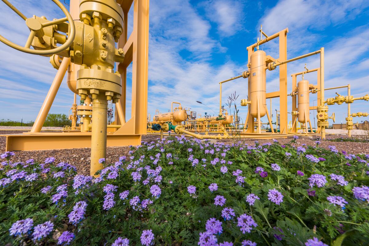 Bright yellow natural gas pipes against purple flowers and a blue sky, in south Texas Eagle Ford.